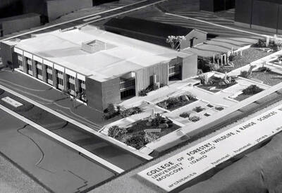 1971 photograph of the Forestry Building model. Donor: Publications Dept.