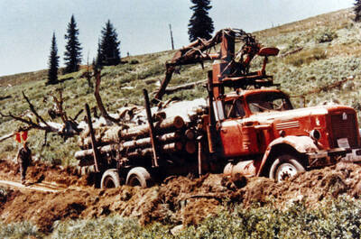1970 photograph of a snag being removed for the Forestry Building. Logging truck in foreground. Donor: James R. Fazio.