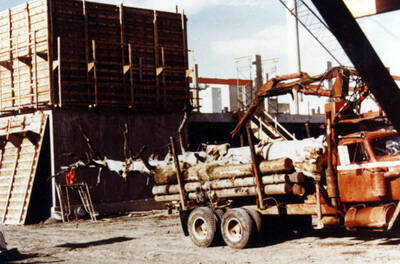 1970 photograph of a snag being removed for the Forestry Building. Logging truck in foreground. Donor: James R. Fazio.