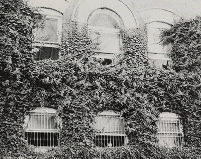 1975 photograph of Art and Architecture South. View of western section, northern elevation, basement level and first floor. Donor: Karl Roenke.