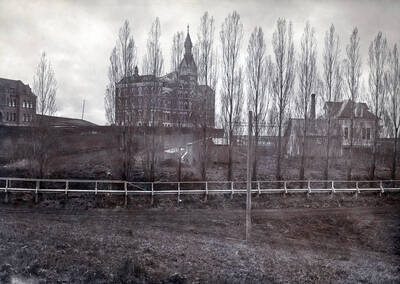 1905 panoramic photograph of University of Idaho campus. Old Administration Building viewed behind a row of Populus (genus). Donor: W.C. Edmundson.