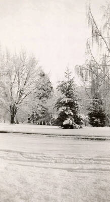 1950 photograph of University of Idaho campus. Looking south on Administration lawn in the winter, statue to the left. Donor: University of Idaho Press.