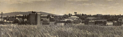 1970 panoramic photograph of University of Idaho campus. View of Theophilus Tower on the left and the water tower to the right. Donor: U of I Alumni Office.