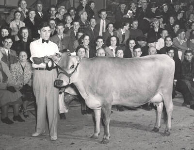 1940 photograph of cattle on the University of Idaho campus. A man shows a cow to a crowd. Donor: Publications Dept.