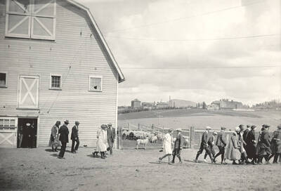 1936 photograph of sheep on the University of Idaho campus. A group of students walks away from the sheep barn in foreground, Administration Building and campus in background.