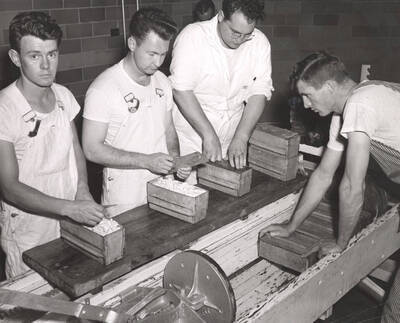 1953 photograph of Dairy Farm and Creamery. Four students making bricks of curds to make cheese. Donor: Publications Dept.