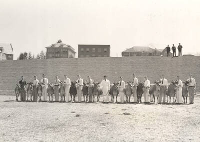 1937 photograph of Dairy Farm and Creamery. A line of students and Jersey cattle facing forward ready for show. Campus buildings in the background.