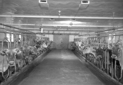 1936-05-22 photograph of Dairy Farm and Creamery.
