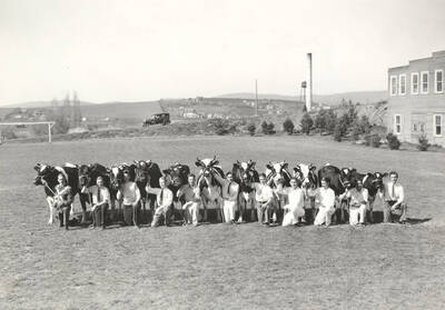 1937 photograph of Dairy Farm and Creamery. Students show Holstein cows in a grassy field. I Tower visible in the background.