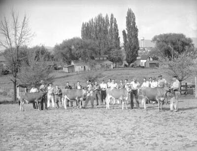 1941-04-30 photograph of Dairy Farm and Creamery. Cattle judging in a field. University buildings visible in the background.