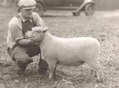1936 photograph of University Farm. A man holds the head of a sheep.