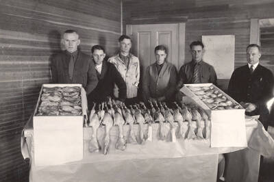1922 photograph of University Farm. Marketing students behind a line of dressed chickens.