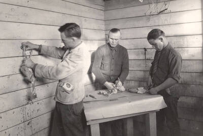 1922 photograph of University Farm. Three poultry marketing students dress chickens.