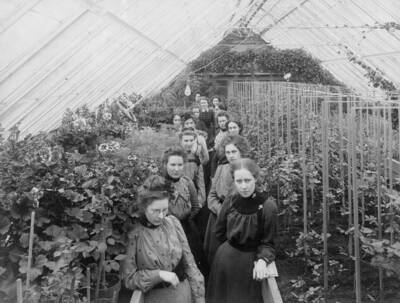 1899 photograph of Plant Sciences. Five female students in a greenhouse. Donor: W.C. Edmundsen.