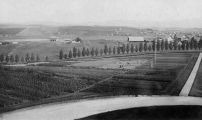 1926 photograph of Plant Sciences. Experimental horticulture plots north of the Administration Building. Donor: W.C. Edmundsen.
