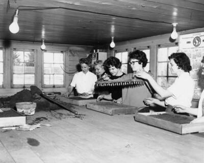 1961 photograph of Plant Sciences. Six female students prepare soil for flower planting class. Donor: Photo Center.
