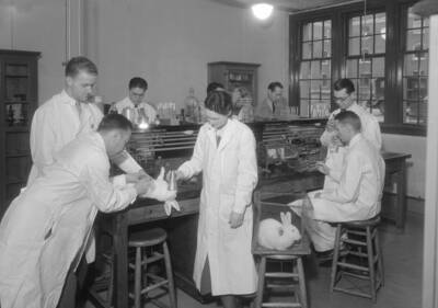 1934-12-04 photograph of Bacteriology building. Professor and students work with lab rabbits.