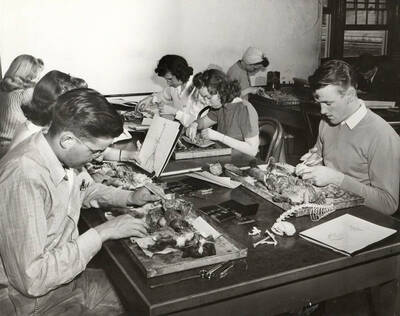 1942-05-19 photograph of Zoology building. Students in lab dissect cats.