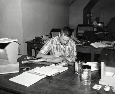 1960 photograph of Zoology building. Mr. Francq dissects a cat at the workstation.