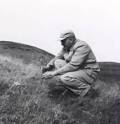 1957 photograph of Zoology building. View of professor out in the field.