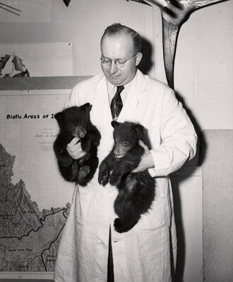 1953 photograph of Zoology building. Professor holds two bear cubs.