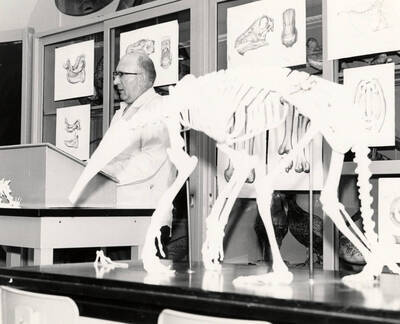 1965 photograph of Zoology building. Professor gives a lecture, skeleton in the foreground.