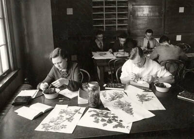 1936 photograph of Botany building. Students work with specimens at their workstations.