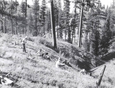 1966 photograph of College of Forestry. Students sitting on a hillside during the forestry summer camp. Also print. Donor: Fred Johnson.