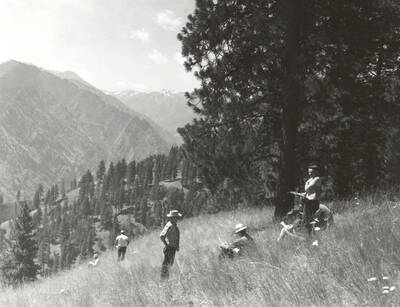 1969 photograph of College of Forestry. Lee sharp and students rest on a hillside during the forestry summer camp. Mountains are visible in the background. Also print. Donor: Fred Johnson.