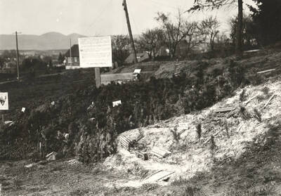 1923 photograph of College of Forestry. Outdoor forestry exhibit displaying logging practices.