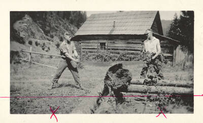 Forestry students on two-man saw during field trip. University of Idaho. [218-13]
