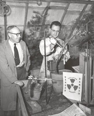 1953 photograph of College of Forestry. Dr. E.E. Hubert (left), Dr. W.K. Farrell (right) at the pole blight research station using radioactive nutrients.