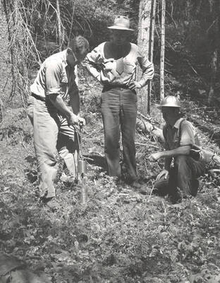 1953 photograph of College of Forestry. Students collecting soil samples. Donor: Publications Dept.