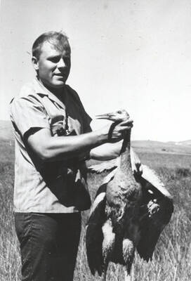 1970 photograph of College of Forestry. A student holding a captured sandhill crane. Donor: Publications Dept.