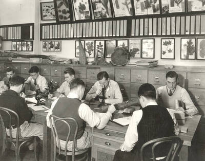 1932 photograph of College of Forestry. Students in the Forestry Laboratory section. l-r: Vaughn Tippets, Lionel Miller, Howard Shaw, Maurice Yearsley, George Turner, Ralph Jensen, Harvey Nelson, Joe Laddle..