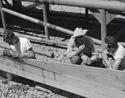 1950 photograph of Geology. l-r: Edward Zeller, Phillips Petroleum Corp.; Walter Younquist, UofI; Frank Adler, Phillips Petroleum Corp. Donor: Publications Dept.