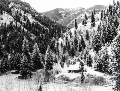 1971 photograph of Wildlife Resources. Taylor Ranch against a background of mountains and trees.