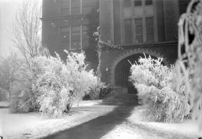1929 photograph of Administration Building. View of the ice covered trees in the fog.
