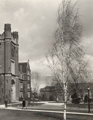1920 photograph of Administration Building. View of the drive with automobiles front.