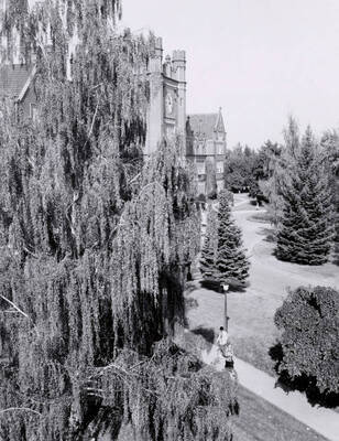 1936 photograph of Administration Building. View of the lawns.