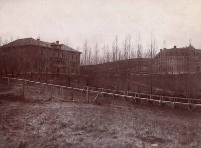 1902 photograph of Ridenbaugh Hall. View of the poplar trees and the School of Mines.