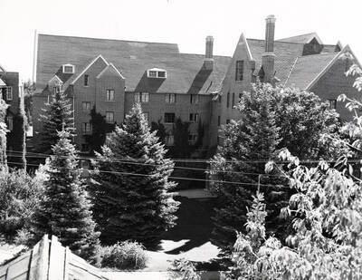 1954 photograph of Hays Hall. View from between the trees.