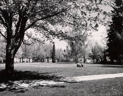 1940 photograph of University of Idaho campus scenery. Students shown sitting on the lawn. Donor: Publications Dept.