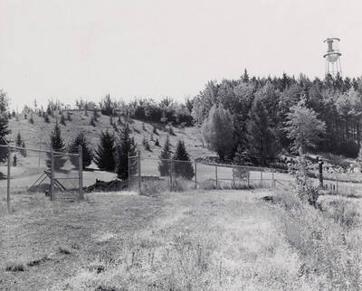 1946 photograph of University of Idaho campus scenery. View of the old water tower.