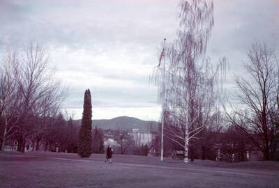 1950 photograph of University of Idaho campus scenery.