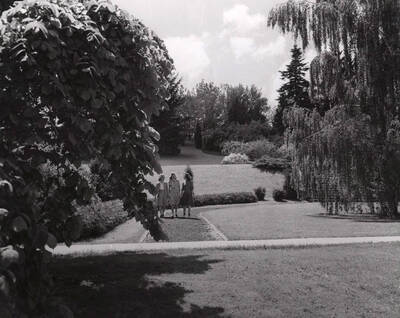 1950 photograph of University of Idaho campus scenery near Memorial Steps. Donor: Publications Dept.
