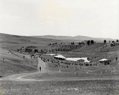 1991 photograph of Arboretum. View of the wedding of UI President Zinser and Don Macklin at the new arboretum.