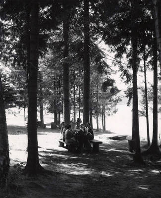 1951 photograph of University of Idaho campus scenery. View of students shown at picnic tables. Donor: Publications Dept.