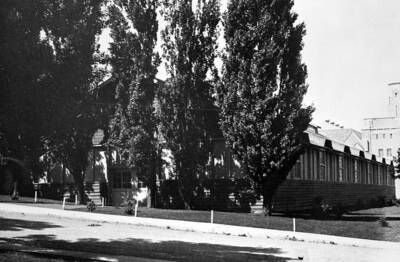 1911 photograph of Art and Architecture Building. View of street and line of poplar trees.