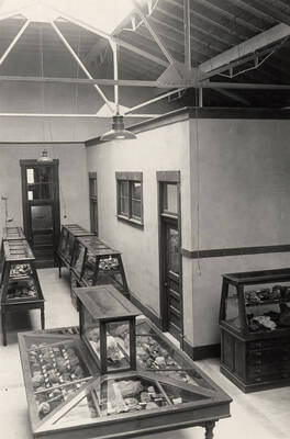 1925 photograph of Geology Building. Exhibits displayed in the Geological museum.